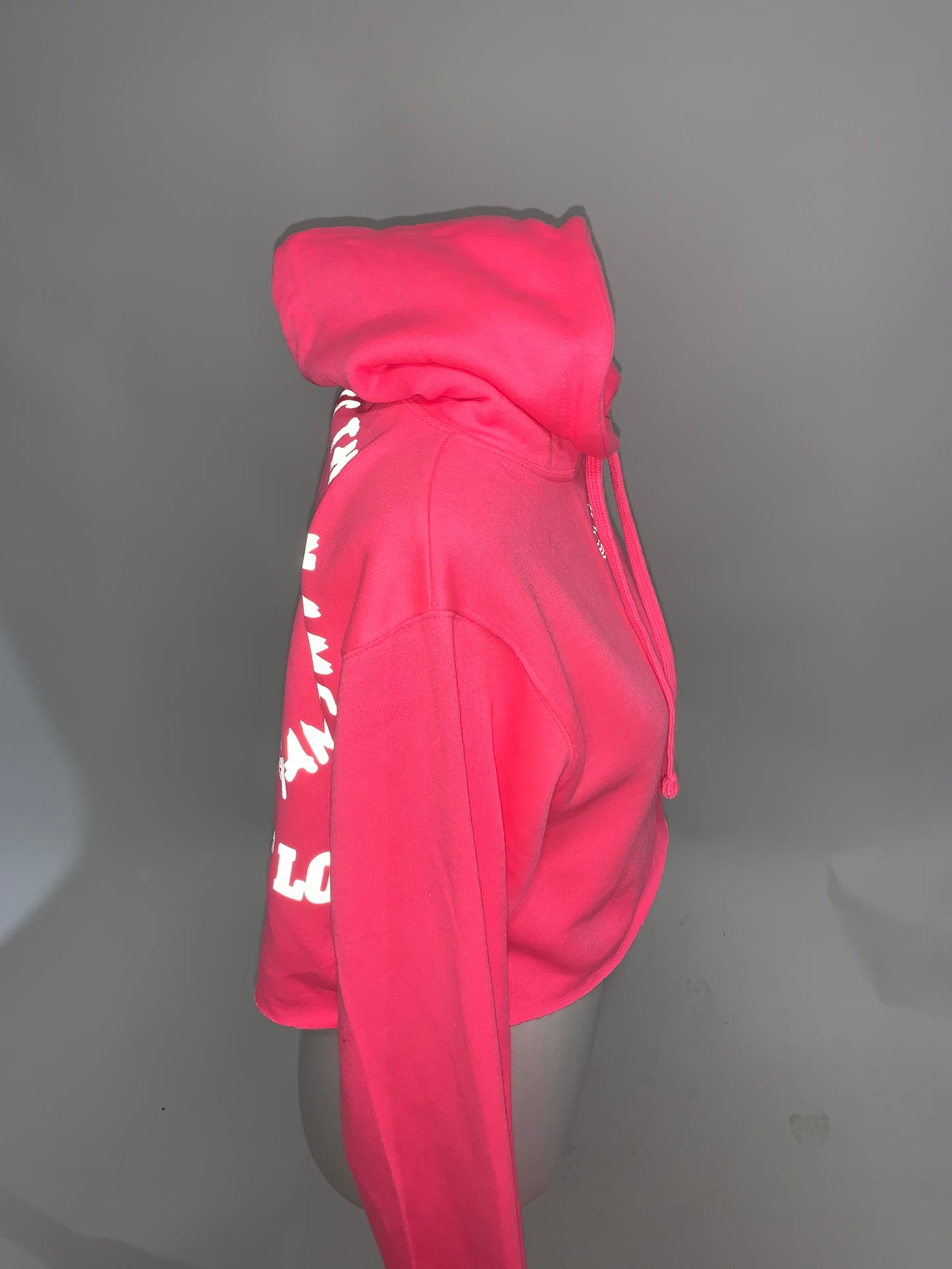 Bubblegum Pink Get Fresh or Get Lost Hoodie Reflector Embroidery